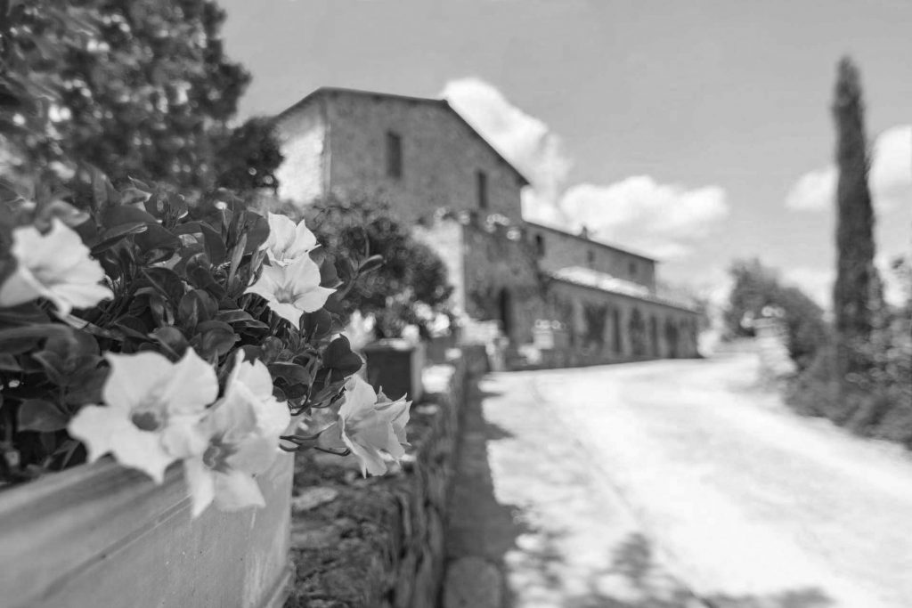 _LOR3581_edit